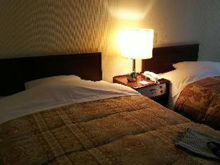Hakodate Park Hotel Habitación foto